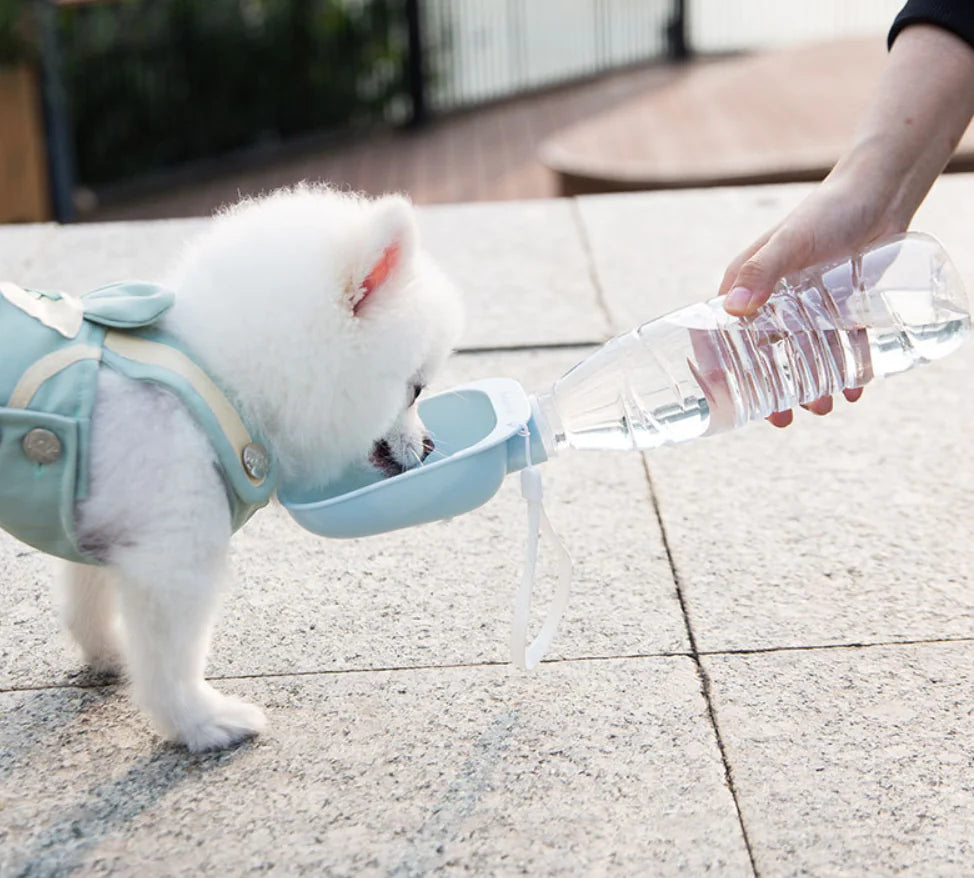 Spiral Water Dispenser for Dogs - Portable Pet Bottle