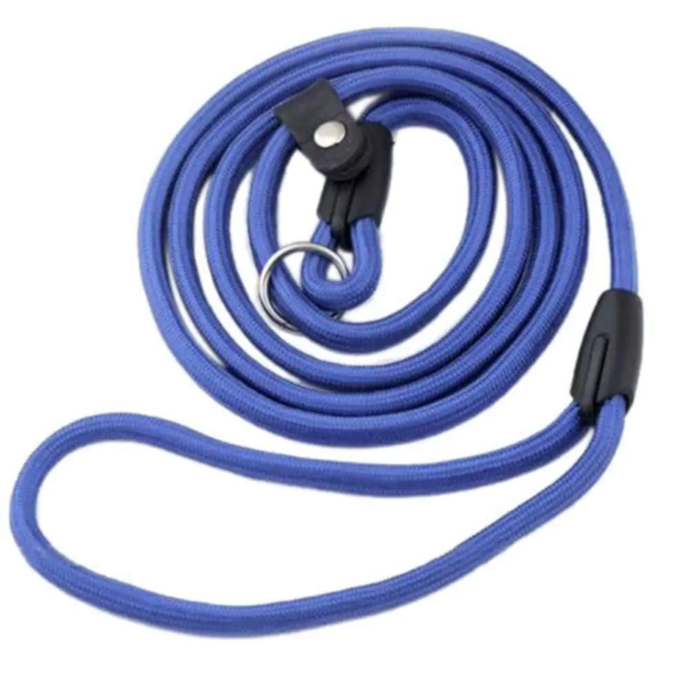Nylon Solid Color Dog Leash and Chain Combo