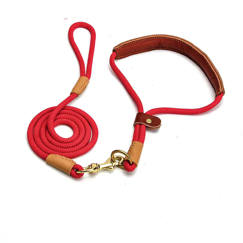 Lightweight Dog Leash for Walking Puppies