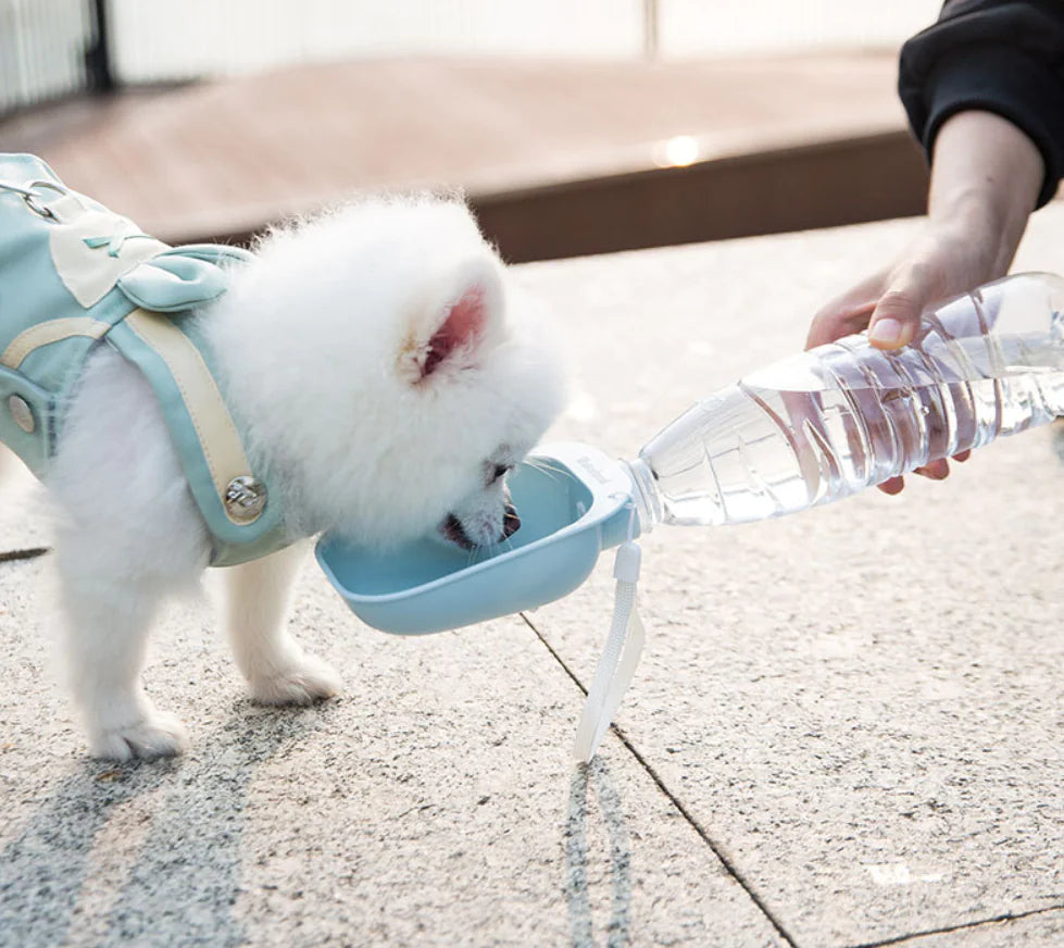 Spiral Water Dispenser for Dogs - Portable Pet Bottle