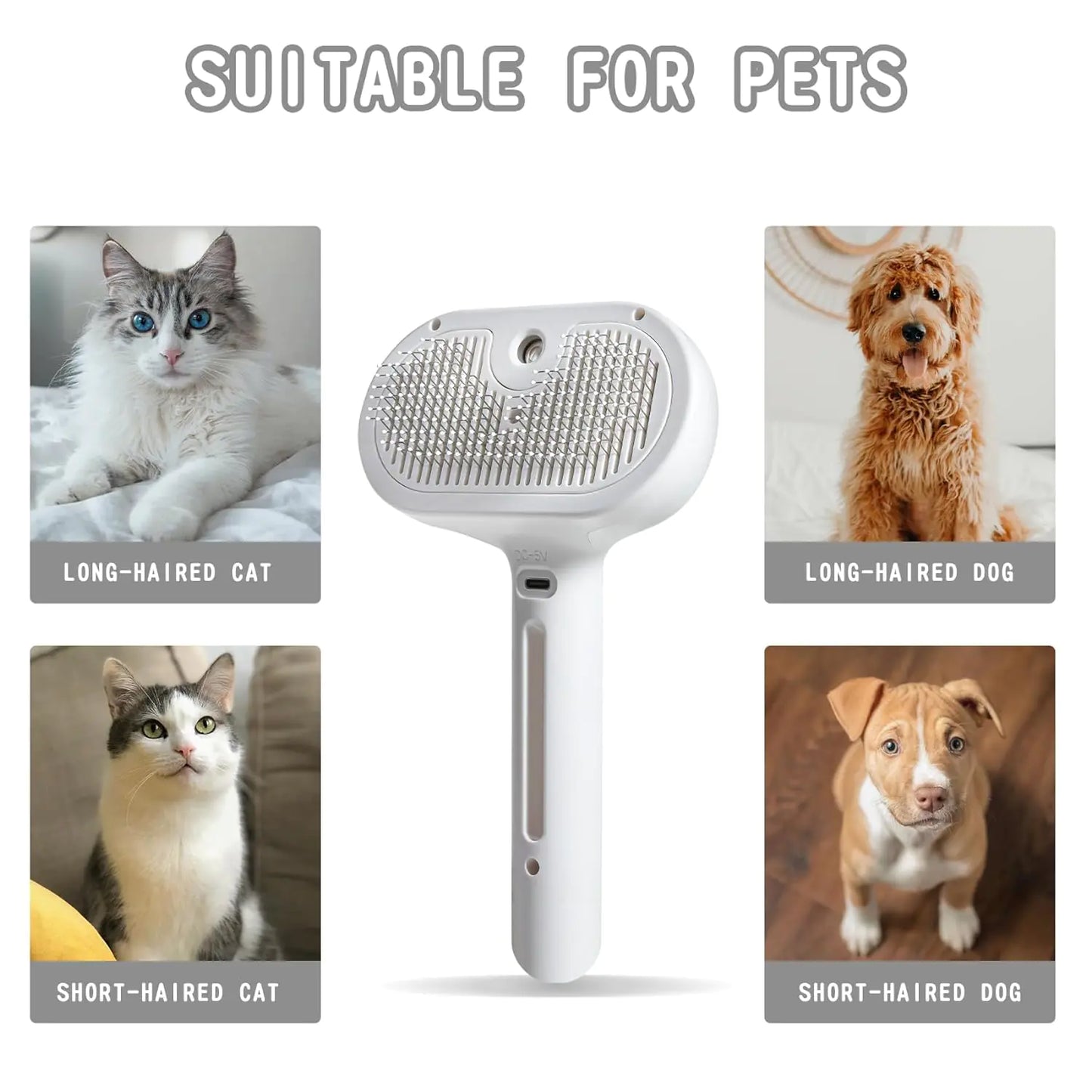 Dog Brush