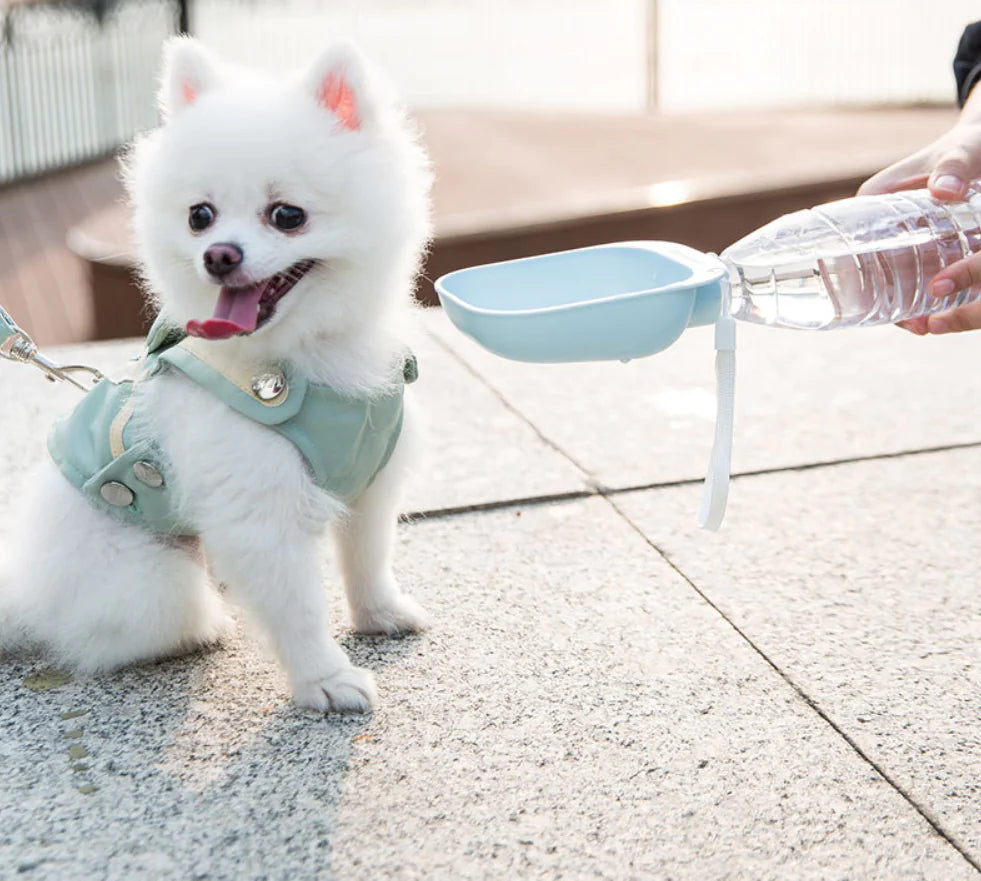 Spiral Water Dispenser for Dogs - Portable Pet Bottle