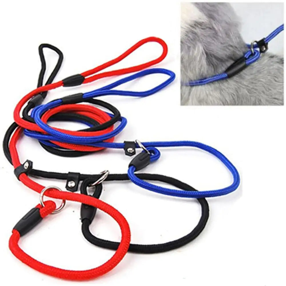 Nylon Solid Color Dog Leash and Chain Combo