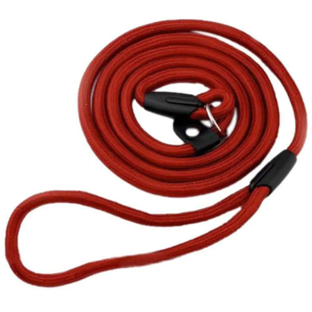 Nylon Solid Color Dog Leash and Chain Combo