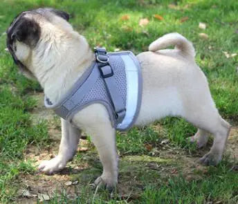 Fluorescent Harness for Small to Medium Dogs