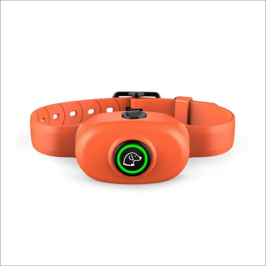 Remote Control Training Equipment for Dogs